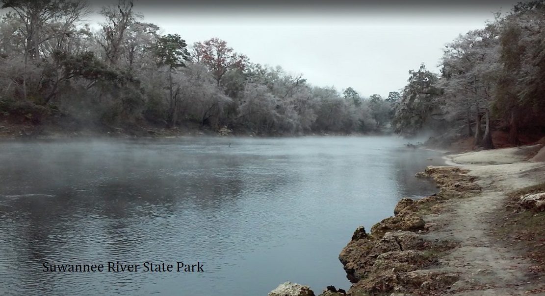 Lot For Sale Suwannee River Campsites Hamilton FL 0.180 acres, ATV